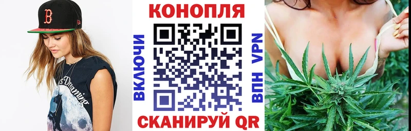 Виды наркотиков купить Звенигород Псилоцибиновые грибы  Амфетамин  Конопля  Метадон  Меф  СК  КОКАИН 