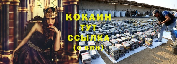 мяу мяу мука Гусь-Хрустальный