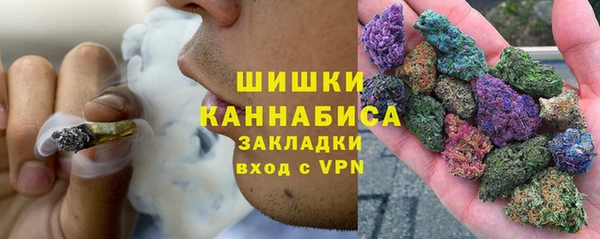 мяу мяу мука Гусь-Хрустальный
