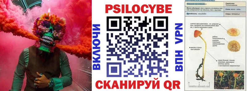 Псилоцибиновые грибы Cubensis  Звенигород 